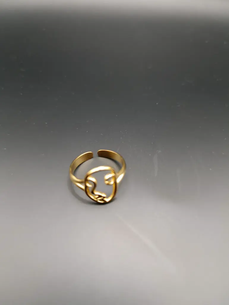 Retro Geometric Titanium Steel Plating
Open Ring 